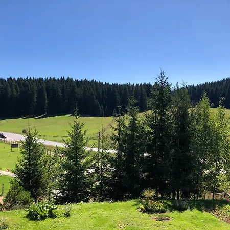 Mountain House - Planinska Vikendica Prázdninový dům Han Pijesak
